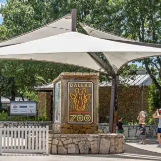Is Dallas a walkable city?