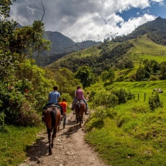 What to do in Colombia?