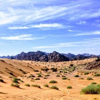 What’s the weather like in Saudi Arabia?