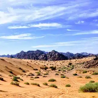 What’s the weather like in Saudi Arabia?
