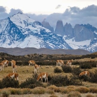 What is chile like as a travel destination?