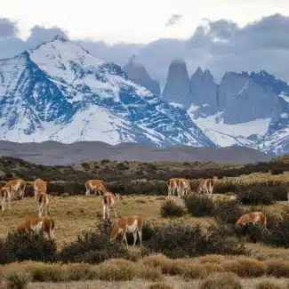 What is chile like as a travel destination?