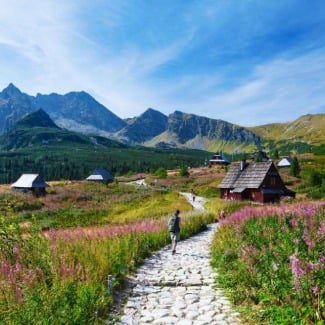 What to do in Poland?