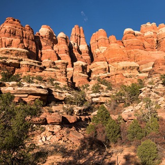 How much is it to enter Canyonlands National Park?