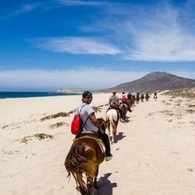 Cabo San Lucas