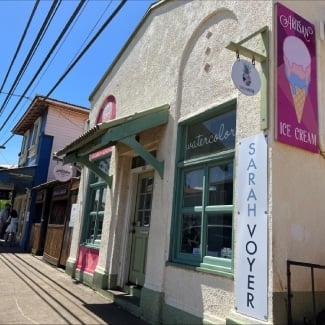Enjoy Organic Locally Made Artisan Ice Cream 