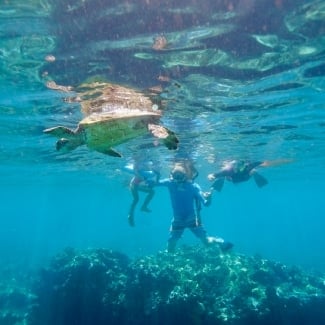 Enjoy a Snorkeling Adventure off Lanai
