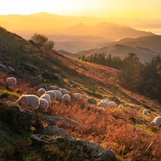Northern Spain 