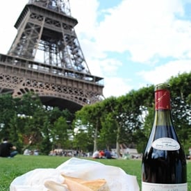Set up a Picnic at the Eiffel Tower