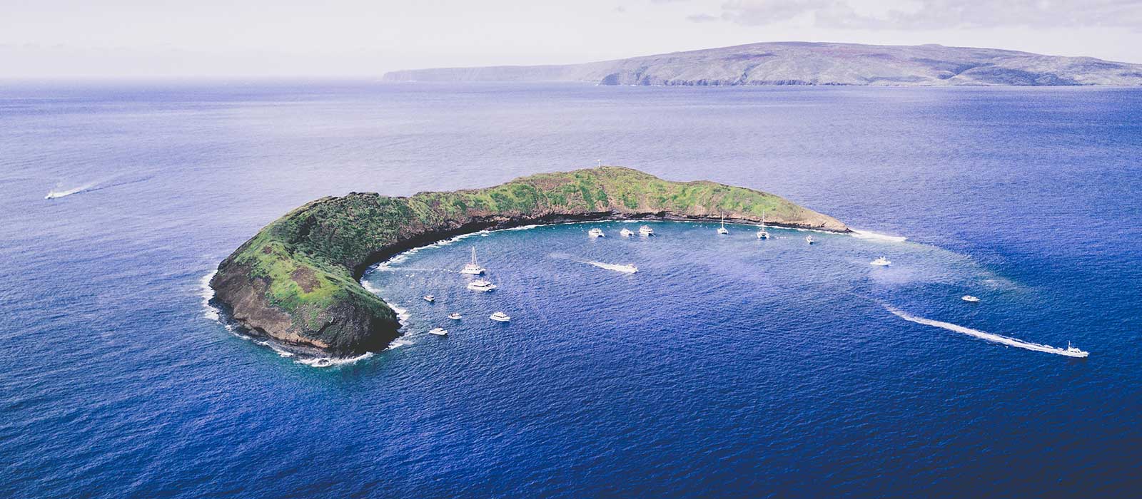 molokini snorkel tour maui