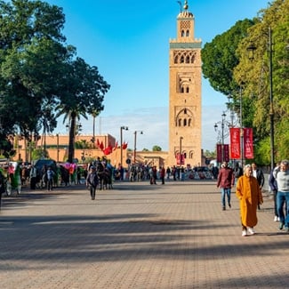 Where can you book the best international excursions and tours?