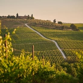 What are the best day-trips near Florence? 