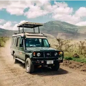 Can I take a safari before or after my climb?