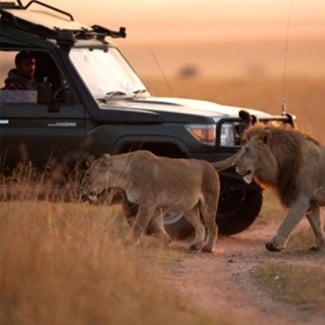 Where should I go on an African safari?
