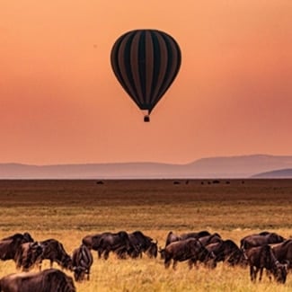 Are African safaris good for families?