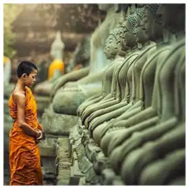 How can I respect the local Thai culture?
