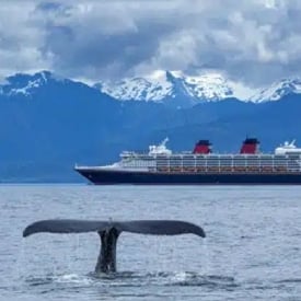 Is it better to arrange my own excursions or take the ones offered by the cruise line?