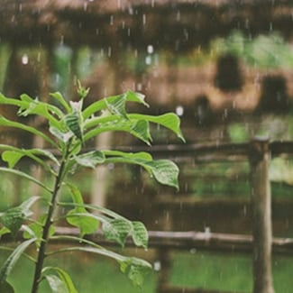 — October, November, December, January, February, March, April