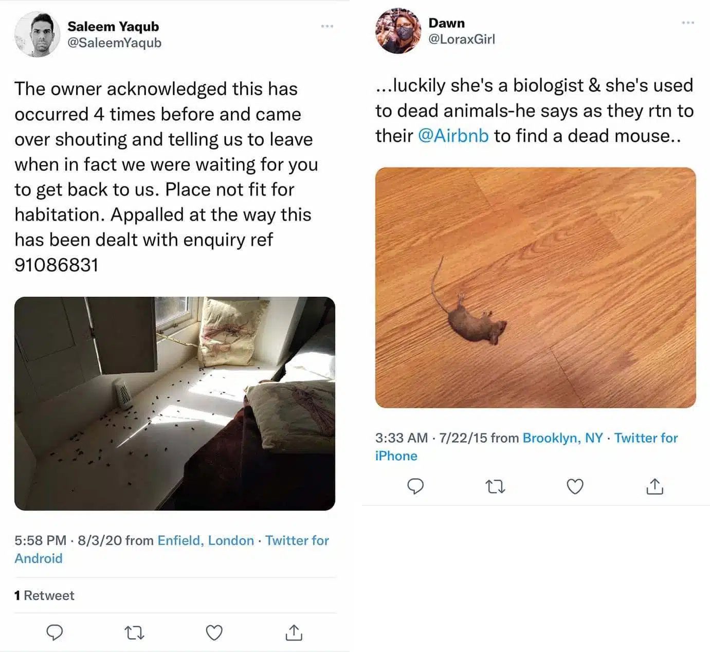 bug and rodent problems at an Airbnb.